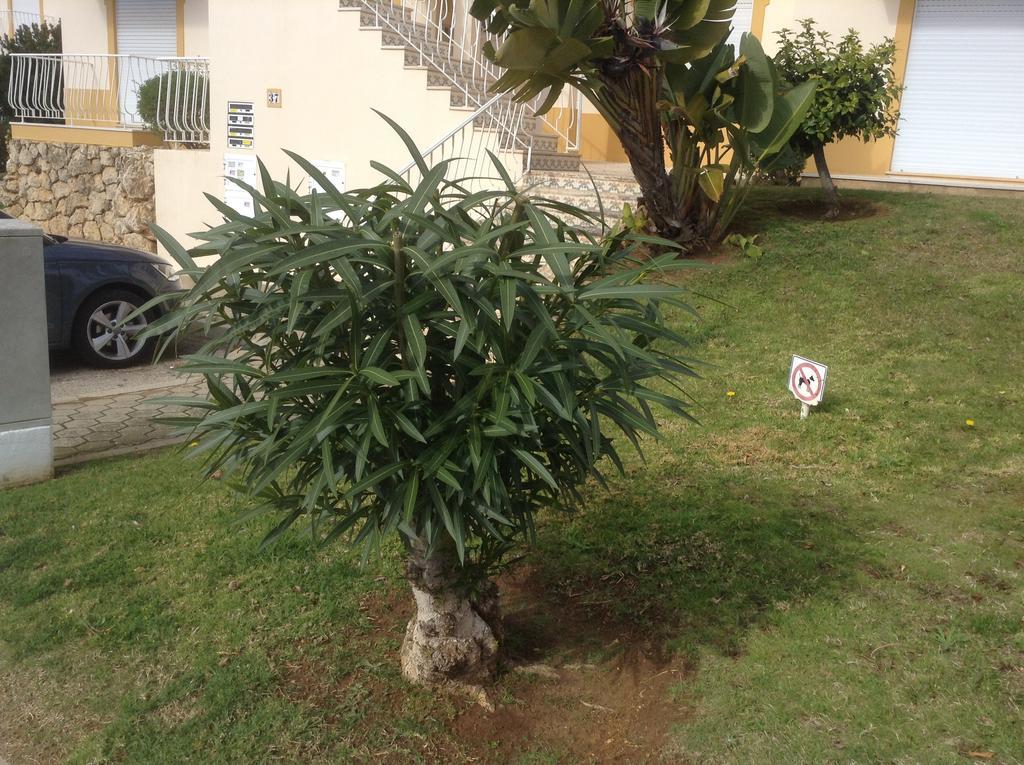 Votre Appartement A Portimão Dış mekan fotoğraf